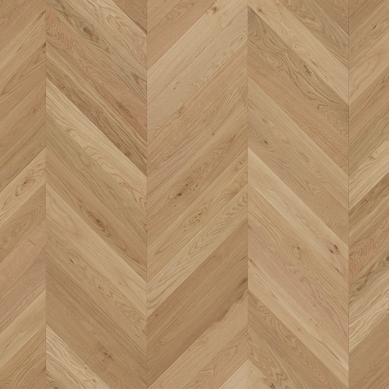 product-800-800